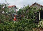 Perkembangan Situasi dan Penanganan Bencana Tanggal 9 Februari