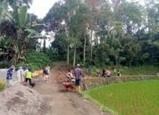 Rehab Jalan Sitinjau Gunuang Pincuran Tinggi Sawah Kubangan, PT Semen Padang dan Masyarakat Bersatu