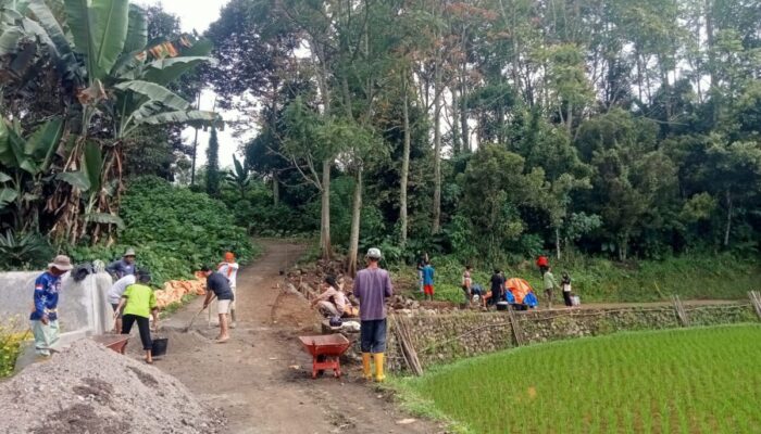 Rehab Jalan Sitinjau Gunuang Pincuran Tinggi Sawah Kubangan, PT Semen Padang dan Masyarakat Bersatu