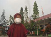 Sistem E-Court Bermasalah, PTUN Jakarta Tolak Gugatan Keterbukaan Informasi LBH Padang Soal Pencemaran PLTU Ombilin