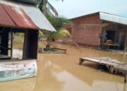 Perkembangan Situasi dan Penanganan Bencana Tanggal 22 Februari 2025