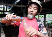 Peternak di Kamang Magek Gunakan Eco Enzyme untuk Atasi PMK