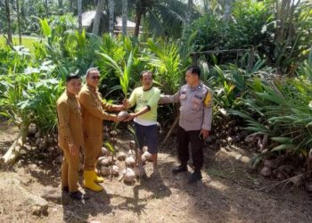 Pemerintah Nagari Lubuk Basung