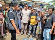Tim Gabungan Polda Sumbar Amankan kurir Bawa 26 Kg Ganja