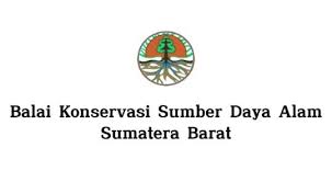 BKSDA Sumbar Pastikan Aktivitas Wisata Pemandian di Lembah Anai Ilegal