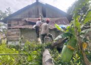 34 Titik Pohon Tumbang dan Longsor saat Cuaca Ekstrem di Padang