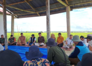 Pemkab Pasbar Bersinergi dengan Perum Bulog Sumbar untuk Serap Gabah Petani dan Dukung Kemandirian Pangan