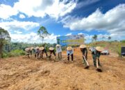 Pasbar Targetkan  Luas  Tanam Padi Gogo 3.742 Hektare