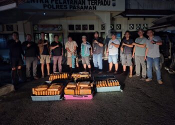 Opsnal Sat Resnarkoba Polres Pasaman Berhasil Mengamankan 100 Paket Ganja