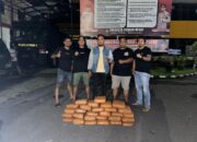 Polresta Padang Ungkap Peredaran Narkotika Jenis Ganja Kering, Amankan 28 Paket