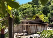 Perkembangan Situasi dan Penanganan Bencana Tanggal 5 Maret 2025