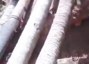 Jalan Alternatif Dharmasraya-Tebo Ditutup Total, Jembatan Ambruk