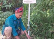 Pegiat Lingkungan Bung Tanol : Banjir Dharmasraya Butuh Penanganan Serius