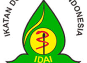 Rekomendasi IDAI untuk Antisipasi Risiko Kesehatan Anak Saat Mudik Lebaran