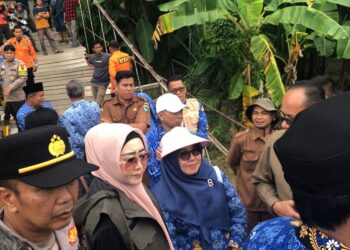 Hendrajoni Tinjau Jembatan Putus di Nagari Pelangai Gadang