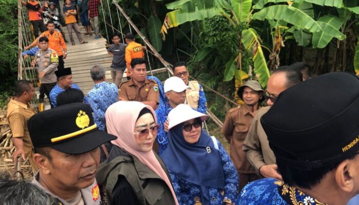 Hendrajoni Tinjau Jembatan Putus di Nagari Pelangai Gadang