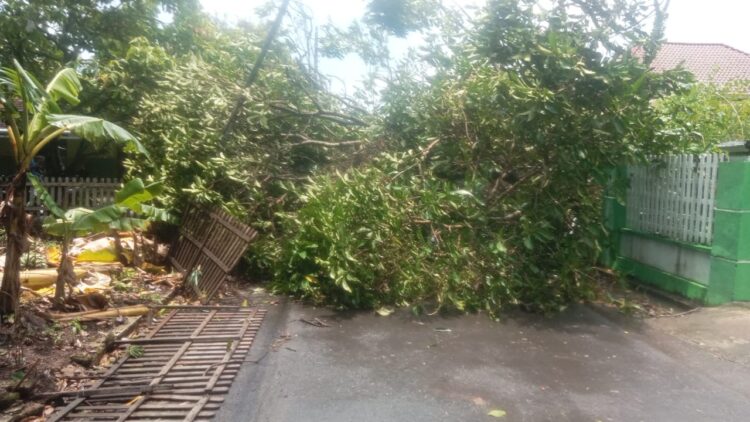 BPBD Kabupaten Pati berkoordinasi dengan pihak terkait dan melakukan assessment dan kaji cepat di wilayah terdampak pada Rabu (12/3).
Sumber : BPBD Kabupaten Pati