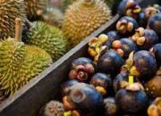 Jorong Koto Tinggi, Penghasil  Durian dan Manggis