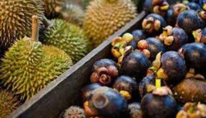 Jorong Koto Tinggi, Penghasil  Durian dan Manggis