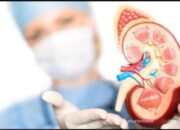 Siswa SD di Pariaman yang Alami Ginjal Robek Akibat Dianiaya Teman, Akhirnya Meninggal