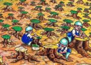 RTRW Dikhawatirkan akan Merusak Hutan Lindung, Begini Tanggapan Dinas BMCKTR