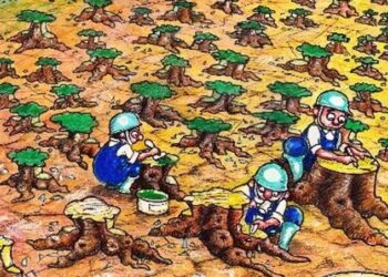 RTRW Dikhawatirkan akan Merusak Hutan Lindung, Begini Tanggapan Dinas BMCKTR