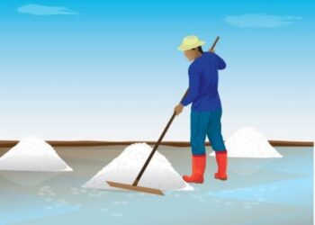 Reaktivasi Industri Garam Rakyat di Sumbar, Peluang Besar untuk Swasembada Garam