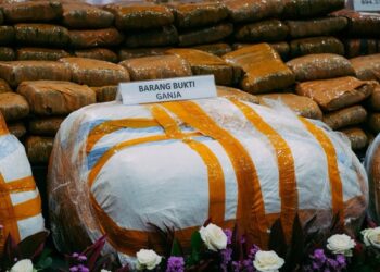 Kemensos Sebut Korban Narkotika Perlu Dukungan Penuh Rehabilitasi 