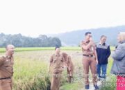 Sawah Pokok Murah Jadi Program 100 Hari Bupati Agam