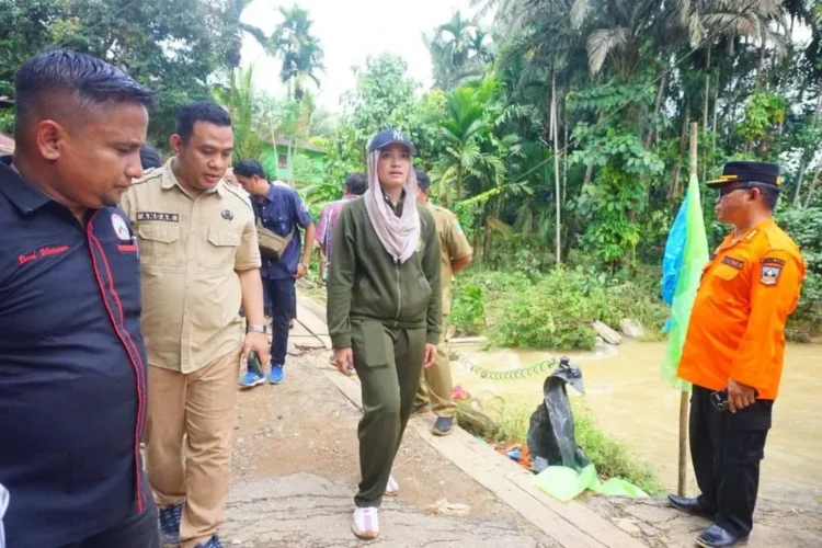 Bupati Dharmasraya Annisa Suci Ramadhani saat turun ke salah satu lokasi banjir di Dharmasraya beberapa waktu lalu. IST