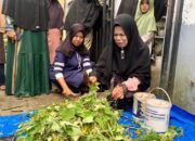 Mengolah Sampah Menjadi Berkah, Aksi Nyata KWT Menjaga Lingkungan