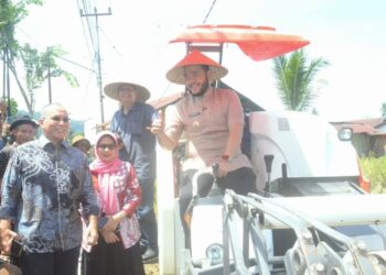 Wako Fadly Amran Pimpin Kegiatan Panen di Kuranji