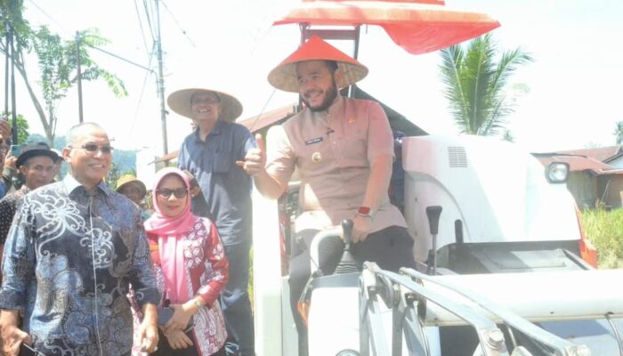Wako Fadly Amran Pimpin Kegiatan Panen di Kuranji