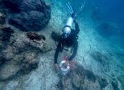 Peringati Hari Bumi 2025, Telkom Selenggarakan Konservasi Lingkungan Serentak di 4 Titik Lokasi di Indonesia