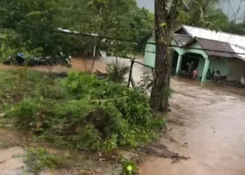 PBB Ingatkan Indonesia Potensi Bahaya Dampak Pemanasan Global