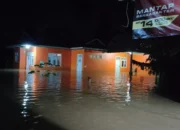Sebanyak 572 Rumah Terdampak Banjir di Boalemo, Gorontalo