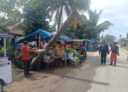 Pohon Kelapa Tumbang Timpa Kabel Listrik di Pasi Nan Tigo, BPBD Padang Gerak Cepat