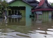 Banjir Landa 9 Kecamatan di Kabupaten Barito Utara, Lebih dari 60 Ribu Warga Terdampak