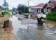 Warga Menjerit! Jalan Rusak Parah di Taeh Baruah, Anggota DPRD Asal Daerah Kemana?