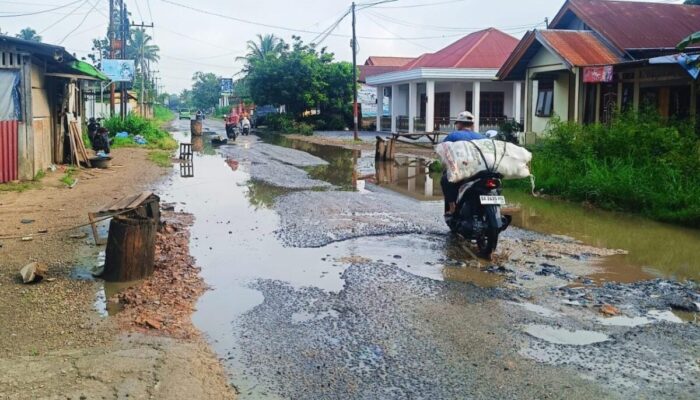Warga Menjerit! Jalan Rusak Parah di Taeh Baruah, Anggota DPRD Asal Daerah Kemana?