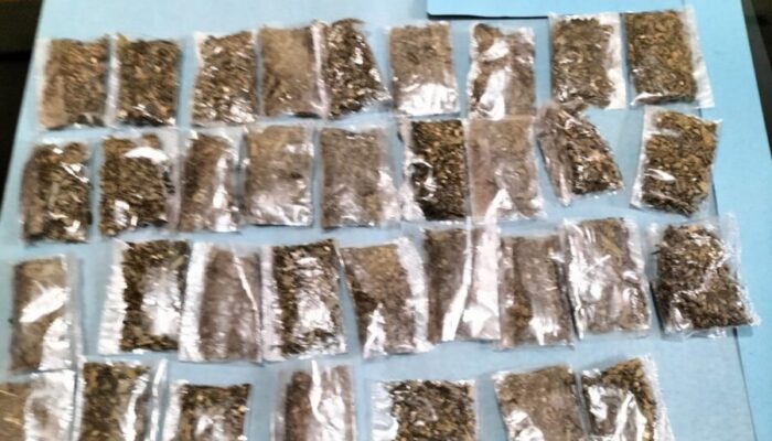 Polres Solsel Amankan 34 Paket Ganja Kering