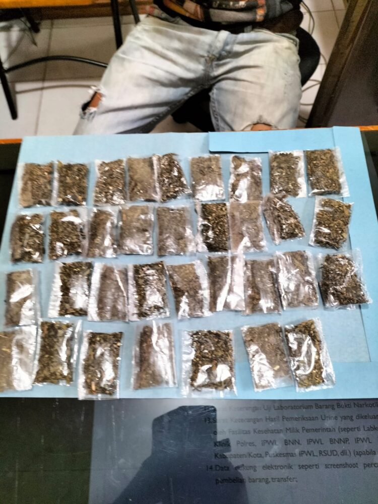 Barang bukti 34 paket ganja kering siap edar diamankan Polres Solok Selatan, Senin (21/4). IST 