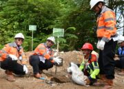 Tanam 205 Pohon Sengon di Bekas Tambang, PT Semen Padang Implementasikan Ekonomi Hijau untuk Dukung Asta Cita Pemerintah RI