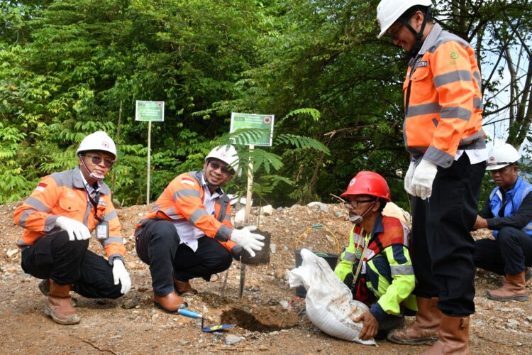 PT Semen Padang kembali menunjukkan komitmennya terhadap keberlanjutan lingkungan dengan melakukan penanaman pohon di areal reklamasi bekas tambang. IST