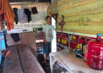 Di Bawah Papan yang Rapuh, Sepasang Petani di Dama Sikuciang Menanti Perhatian