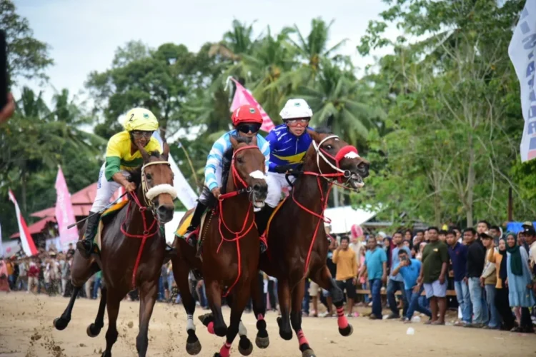 Selama dua hari pelaksanaan iven Pacu Kudo Bupati Padang Pariaman Cup pada 4 dan 5 April 2025, tak kurang dari 40 ribu pengunjung hadir dan transaksi mencapai Rp4-5 miliar . IST