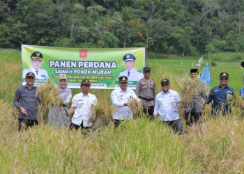 Inilah Curahan Hati Petani Agam tentang SPM
