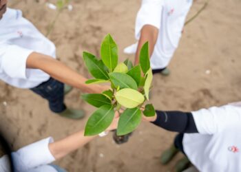 Telkom Pertegas Komitmen Energi Terbarukan di Hari Bumi 2025: Langkah Nyata Menuju Masa Depan Berkelanjutan