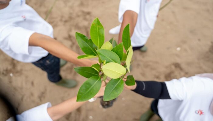 Telkom Pertegas Komitmen Energi Terbarukan di Hari Bumi 2025: Langkah Nyata Menuju Masa Depan Berkelanjutan