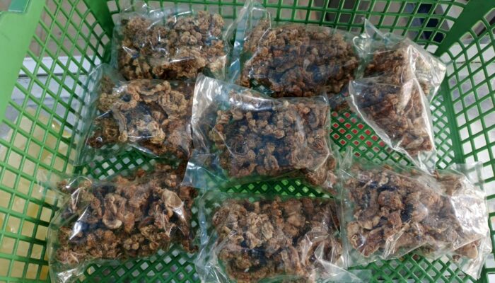 Gurihnya Dendeng Rabu Koroh Koroh Ajo Ali     